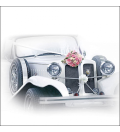 Napkin 33 Wedding car FSC Mix