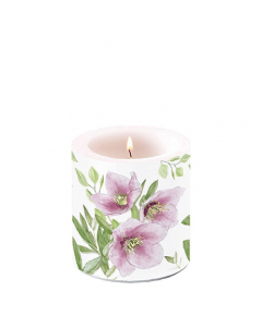 Candle small Classic helleborus