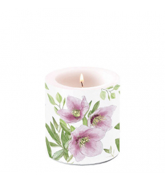 Candle small Classic helleborus